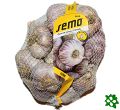 Ivan, poloraný ozimý paličák, česnek kuchyňský (Allium sativum), sadba Ivan, poloraný ozimý paličák, česnek kuchyňský (Allium sativum), sadba