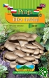 Hlva stin M109 (Pleurotus ostreatus), podhoub (mycelia), sadba, osivo