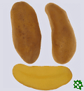 sadbové brambory - Keřkovské rohlíčky - poloraná odrůda (varný typ AB)