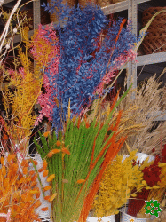 Sušina, sušené květiny a dekorace pro aranžování a floristiku
